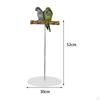 Bird Perch Stand Play Gym Playpen Practical Chewing Biting Toy Playground