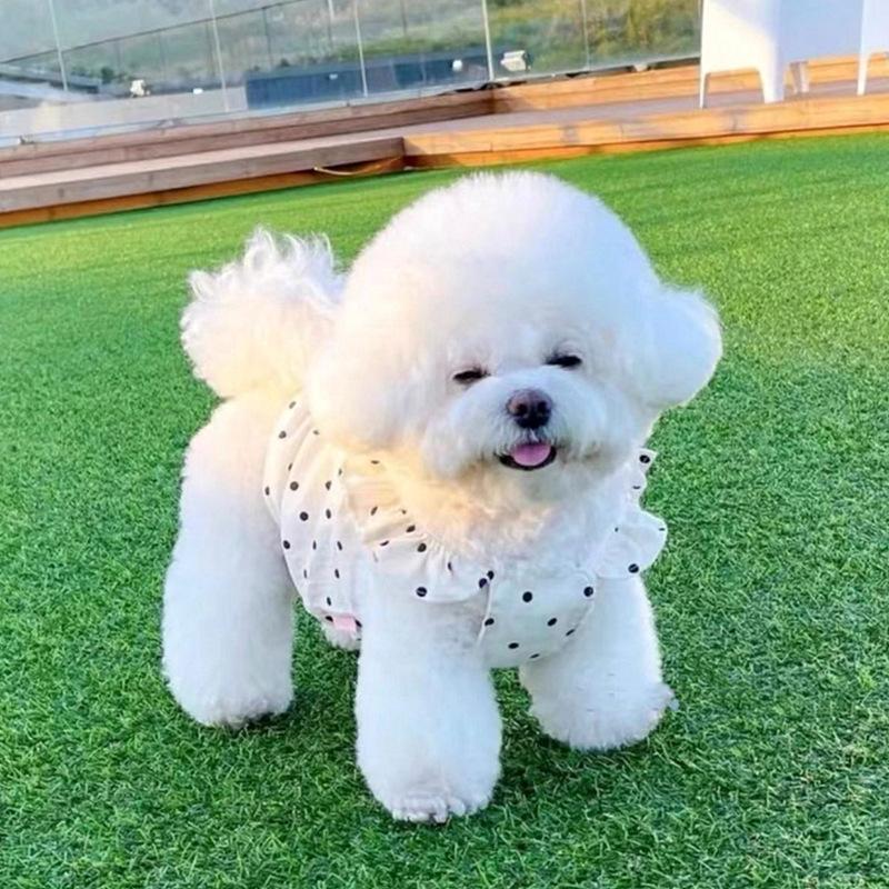 Spring and Summer Dog Clothes Cute Wind Polka Dot Dress Bichon Dog Teddy Pomeranian Small Puppy Pet Clothes