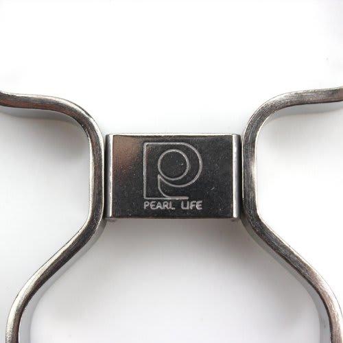 PEARL METAL Easy Wash Stainless Steel Peeler [Made In Japan] C-8646
