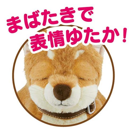 Iwaya (IWAYA) Start your day with a relaxing conversation with this Shiba Inu dog. A soothing, interactive, touch-sensitive pet for seniors and