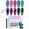 AS Gel Nail 5-Piece Set Magnetic Syrup Glitter Gel Art Board Included 1 Set B20