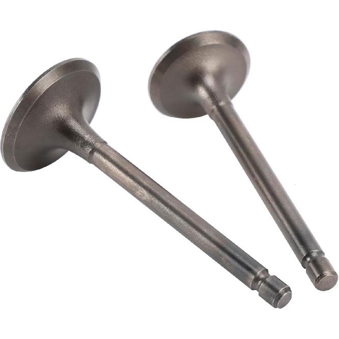 Intake & Exhaust Valve Kit for Yamaha TTR125 TTR125E TTR125L TTR125LE XT125 YBR125 YFA1 Breeze YFM125 Grizzly - Replaces 5VL-E2111-00 5HH-E2121-00 -