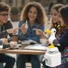 Portachiavi Pulsante Gabbiano Comportamento Giocoso Il Grido delle Gabbiani Portachiavi Clicker Fidget Passatempo