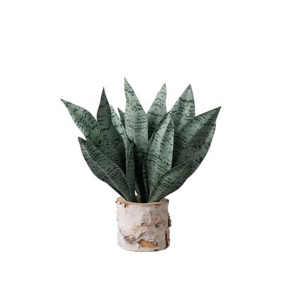 Umělá Sansevieria Falešné zelené rostliny PVC rostliny
