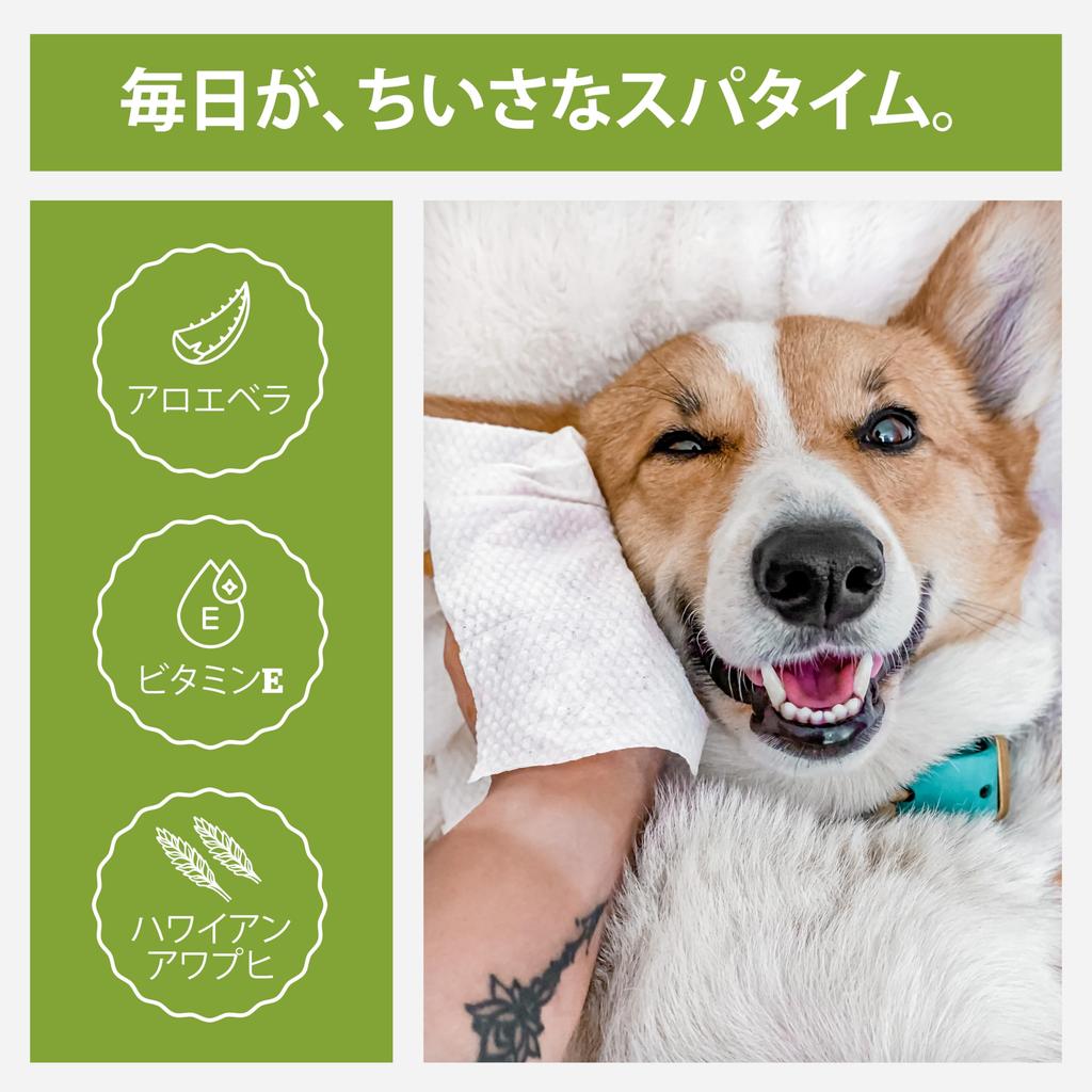 POGI Dog Wet Green Tea Bamboo Gentle on Travel 120 Sheets Sheets x 6 Wipes, Scent, Derived, Skin, Pack, (20 Packs)