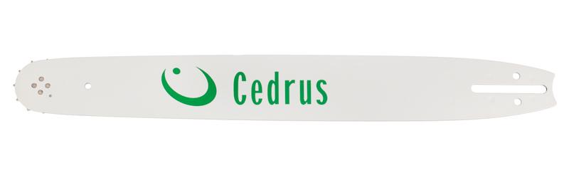 

Guide 18 .325 1.3Mm 72E 11Z Cedrus Po18-50Eh