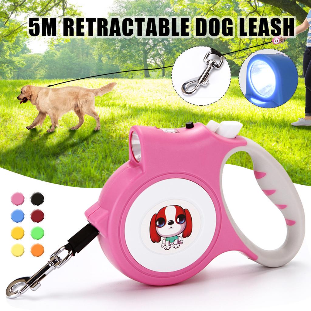leash light
