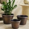 Drainage Pots for Succulents Retro Flower Pot with Saucer, Bronze Finish Plant Holes, Planters Flowers Breathable Thickened Plastic Planter