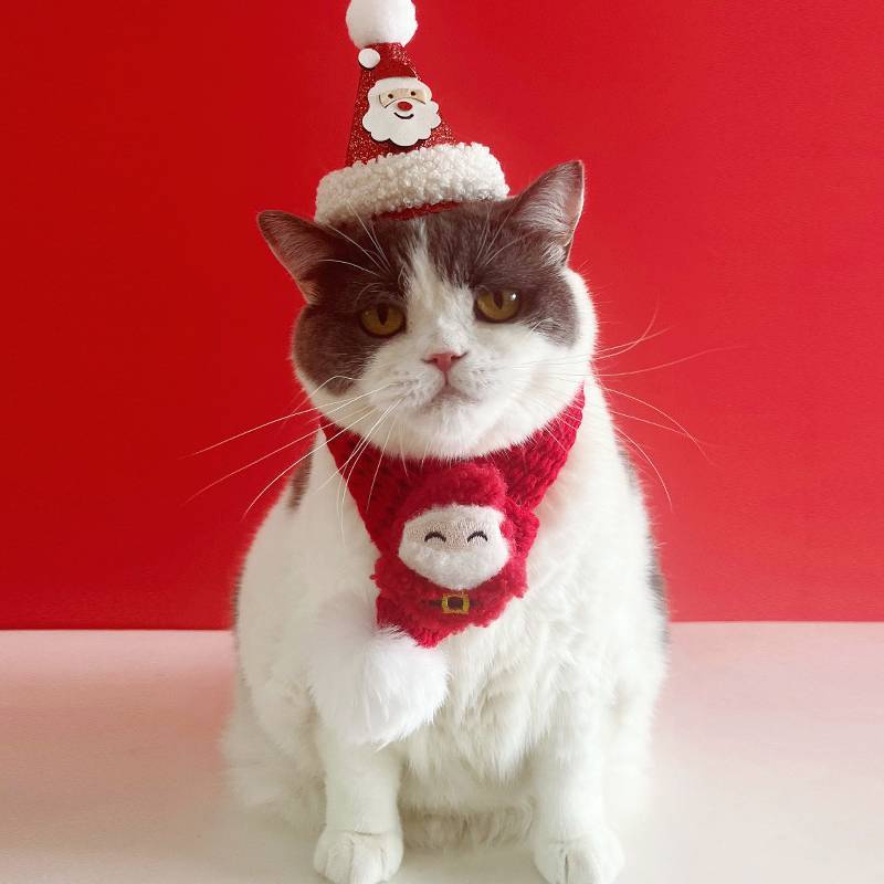 Weihnachts-Haustierschal- und Hut-Set mit Cartoon-Rentier für kleine Hunde und Katzen