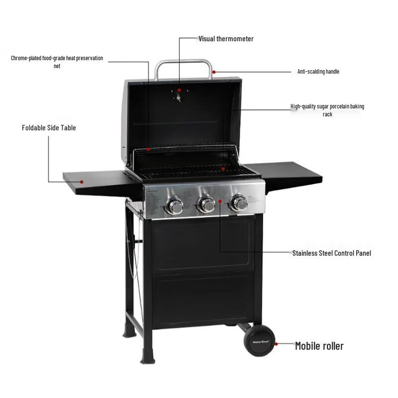 Outdoor Gas BBQ Grill