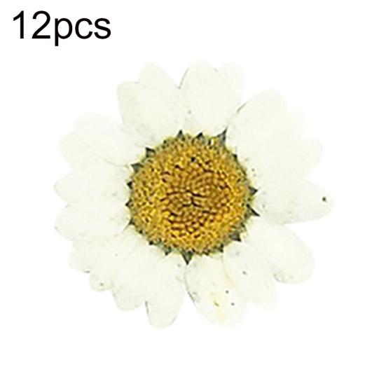 12 sztuk Prasowane Suszone Naturalne Kwiaty Żywica Epoksydowa Crafting Paznokci DIY Dekoracja Telefonu