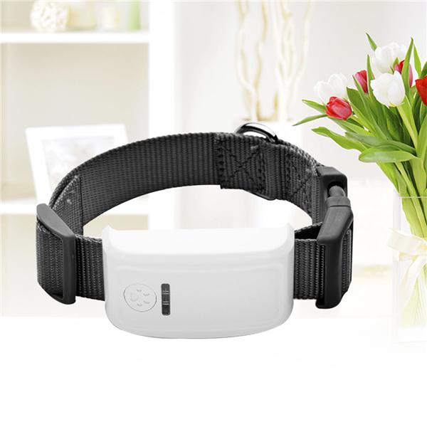 microchip dog collar