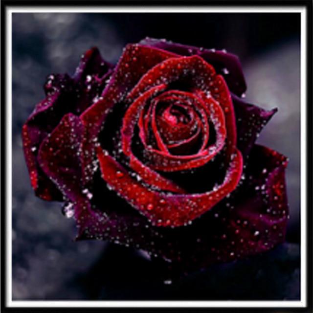 Pittura diamante 5D Fai da te Paesaggio Fiore Colore Rosa Ricamo diamante Ricamo diamante