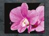 SZKLANA DESKA DO KROEJNIA 30x22 ORCHIDEA